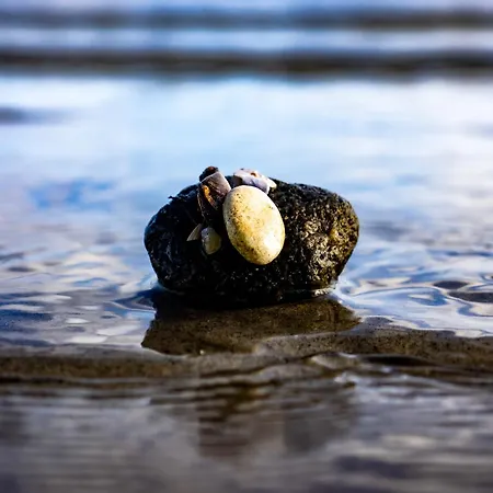 Lille Strandhus Dom wakacyjny