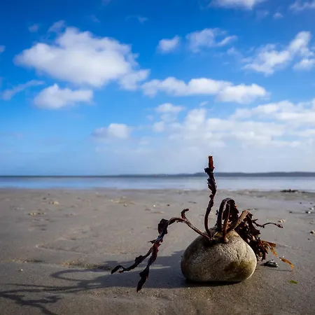 Dom wakacyjny Lille Strandhus