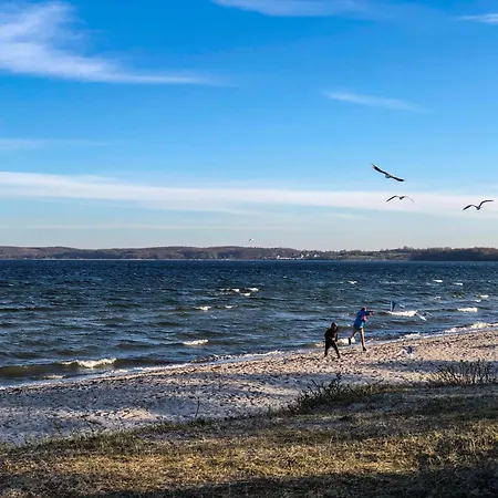 Dom wakacyjny Lille Strandhus Holnishof