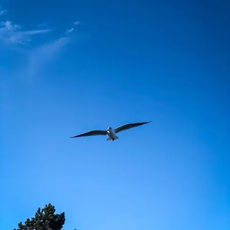 Lille Strandhus Holnishof